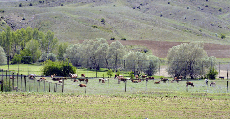 antrenman tesisi otlak oldu 2805220940 m2 scaled