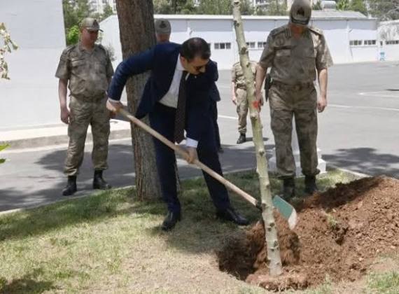 CBB955E2 C807 45E7 A40A 24371287A5A3