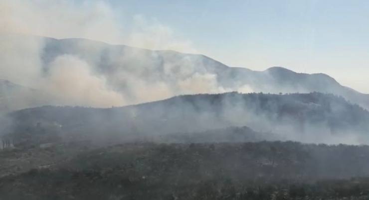 1038FCB2 A03C 46A0 961B 35CF699B50AD