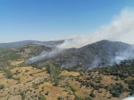 307D764A 1F78 461D 8C8A EEC2E450E75D