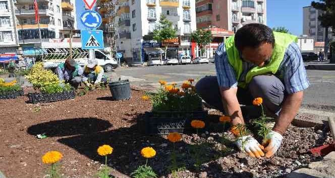 E7630BD6 3C45 4755 B67C 923EE91E64AF