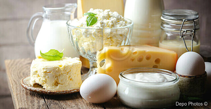 İçme sütü ve yumurta üretimi azaldı