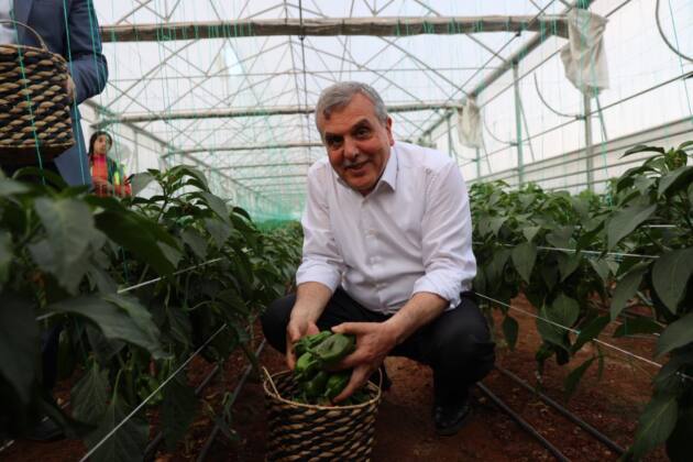 005fe3f6 904b 4a8d 90c2 48e444d9951a