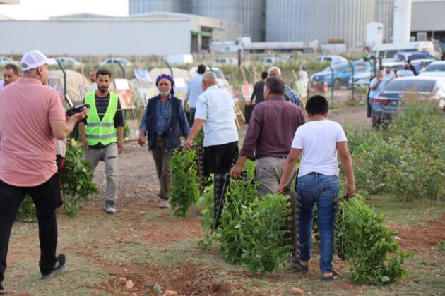 4d5f9979 6bad 491e 8b2e 33fc65f9777b