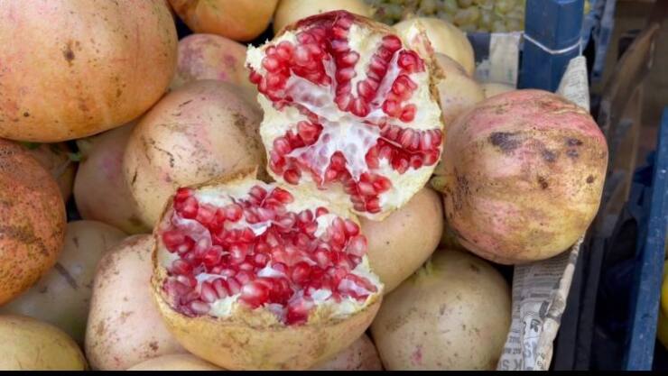 SURUÇ NAR’I TESCİLLENDİ 10 7a17ea85 db49 4327 b8b7 5a1a6e2d9c16