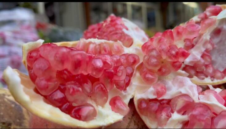 a07ed244 2efe 43e9 94e6 55595b8e741f