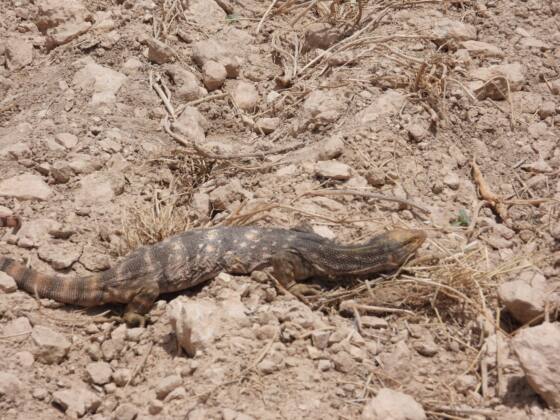 545dba26 ecb1 4680 9167 4fe42ef6f28c