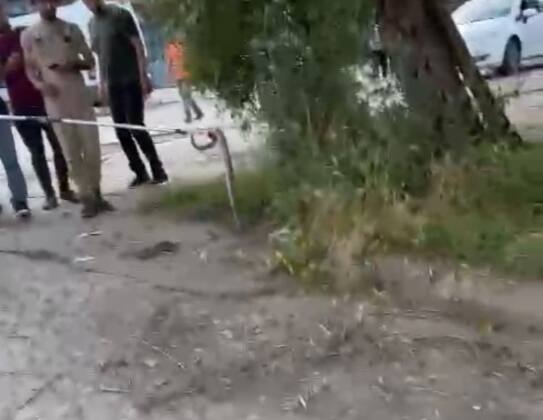 55ec65db a9bf 4bee af03 8250c85b4467