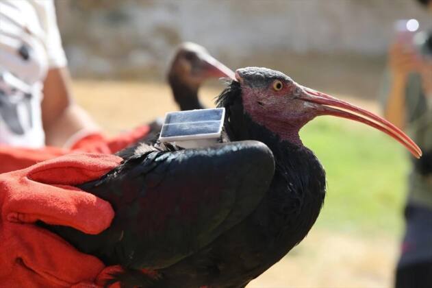 9a32778c f999 48ca 84e1 c3d07c0dfc79