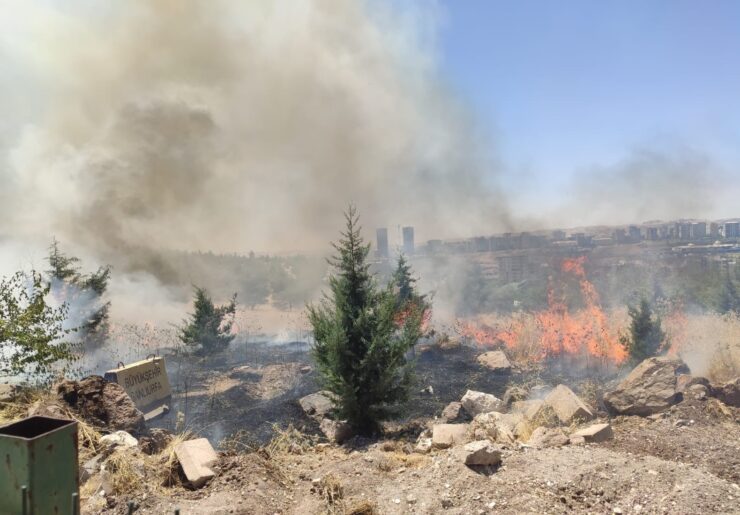 Orman Bölge Müdürlüğü bahçesinde çıkan yangın korkuttu
