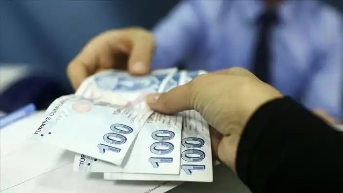 Türkiye Aile Destek Programı ödemeleri hesaplara yatırılıyor