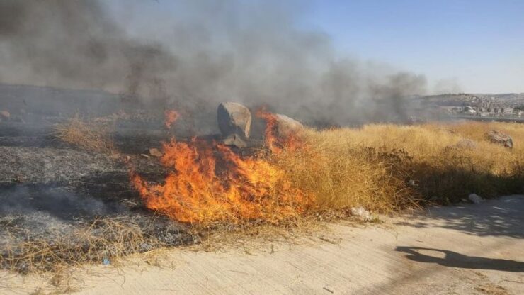 Urfa’da ot yangını – Bizim Haber Ajansı