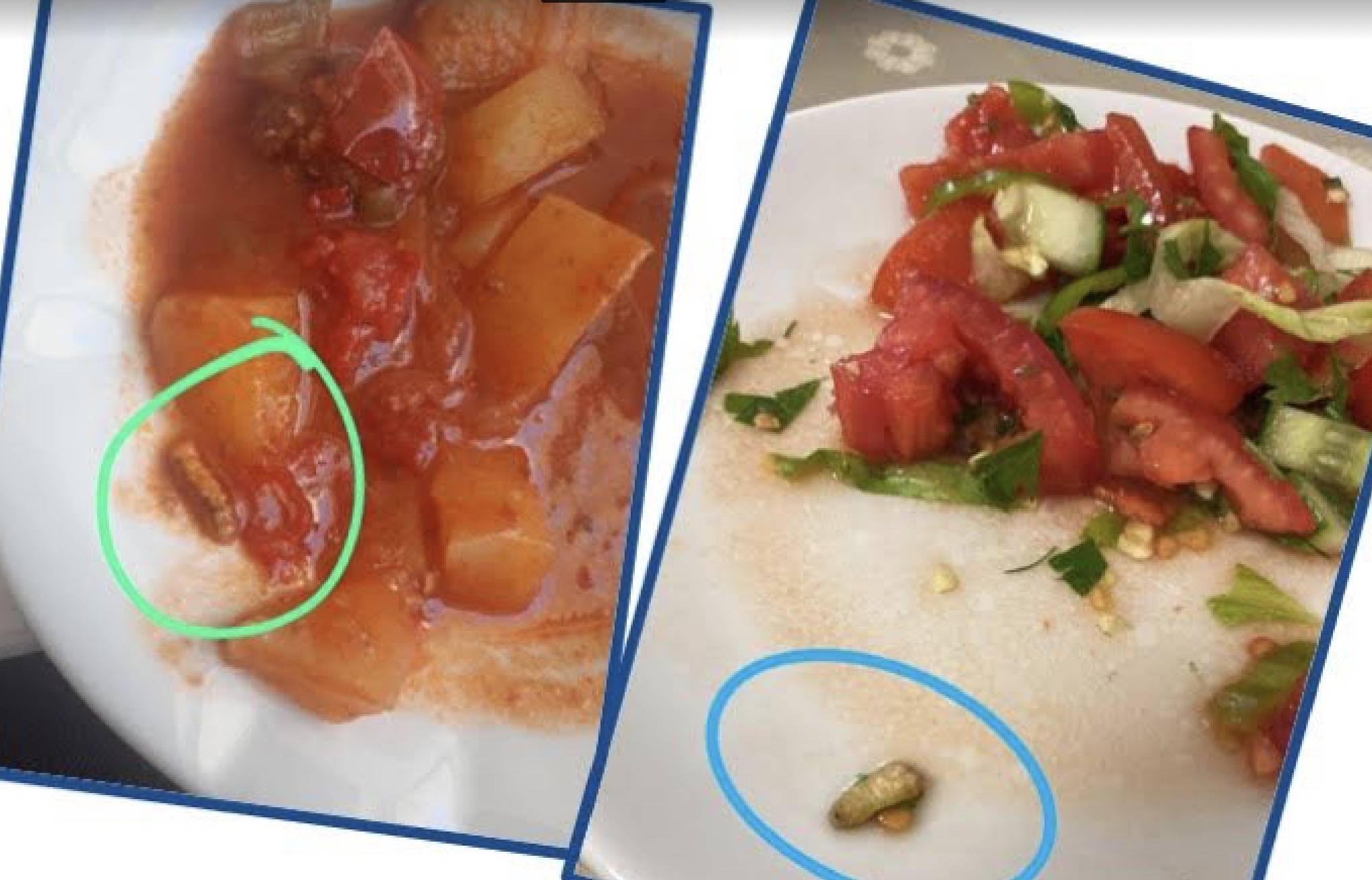 Hastane Yemeğinden Kurt Çıktı ! 10 Hastane Yemeginden Kurt Cikti