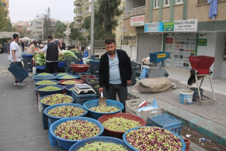 Urfa Haberleri zeytin fiyatları tavan yaptı!