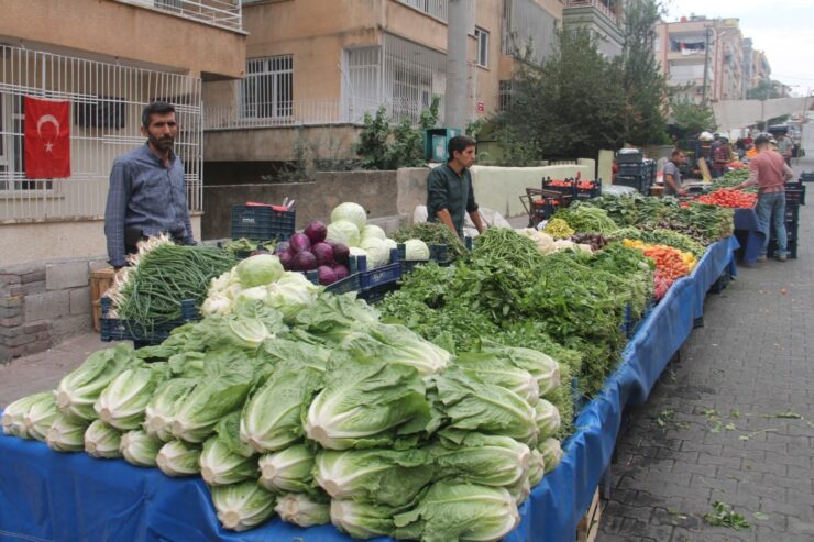 Urfa Haberleri Urfa’da turşuluk salatalığın fiyatı cep yakıyor