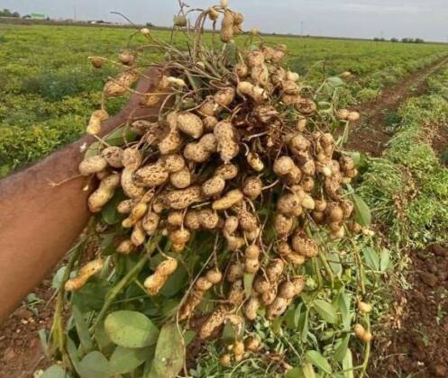 61290b56 5a94 4b22 84d8 c00555ea8376