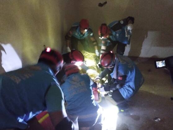 81dccd85 19a6 42df 8b52 42a96bbea57e