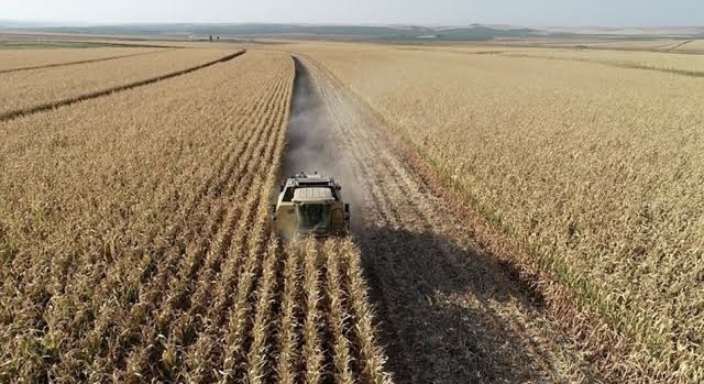 Urfa Haberleri Tarımsal girdi fiyatları Eylül’de yüzde 2,63 arttı