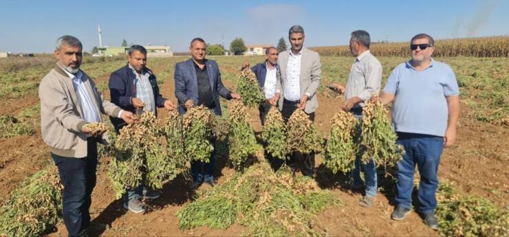 b28a418e b573 490f 8875 5056fe054c14