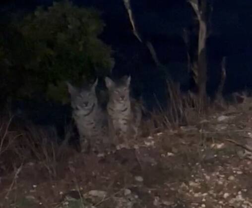 c064a26d 6375 456b 862d 02adf1becaa0