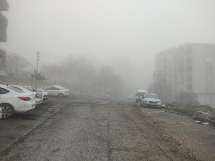 Urfa Haberleri Şanlıurfa’da öğlen saatlerinde yoğun sis