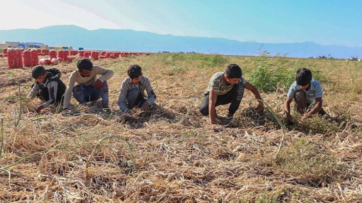 Urfa’da mevsimlik tarım işçilerinin sorunları tartışıldı