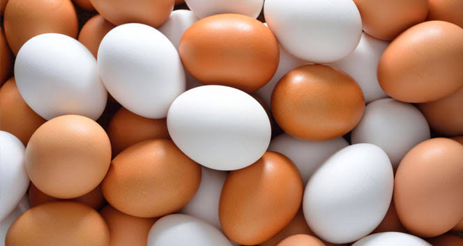 Urfa Haberleri 17 Türk firmasına daha Rusya’ya yumurta ihraç etme izni çıktı