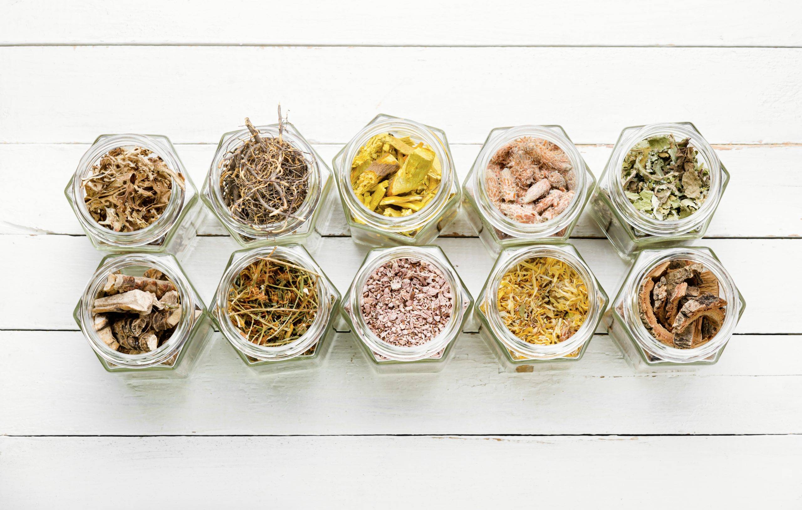 Bitki Etkilesimine En Cok Neden Olan Bitkiler