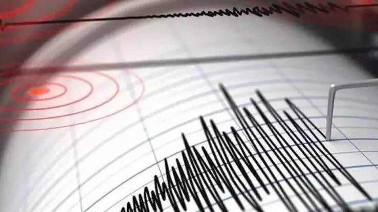 Urfa Haberleri Kuşadası Körfezi’ndeki deprem: Olumsuz bir durum yok