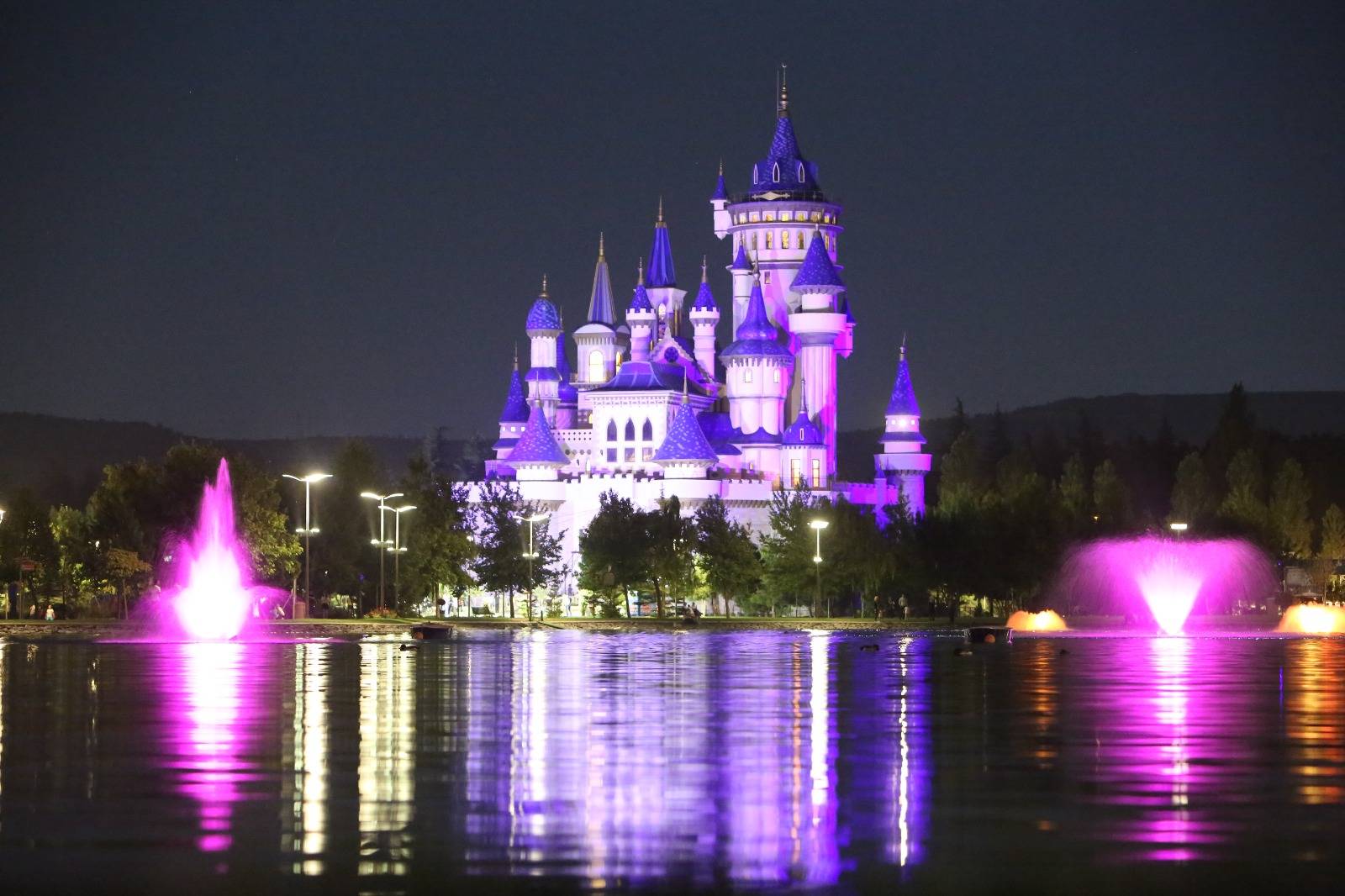 Dunya Epilepsi Gununde Turkiye Mor Isikla Aydinlandi