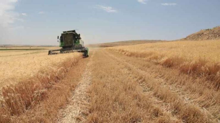 2024 03 ciftcilere mujde o odemeleri hesaplara yatirildi scaled