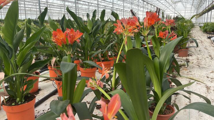 2F68EBD6 CA4A 4E7F A1A4 D1A7805AD954