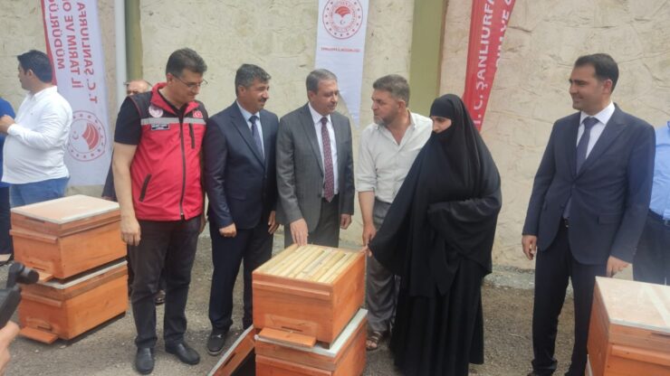 2024 05 ariciligin gelismesi icin onemli adim sanliurfada binlerce ucretsiz kovan dagitildi scaled