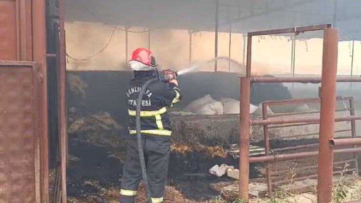 Eyyübiye’deki yangın itfaiye ekipleri tarafından söndürüldü