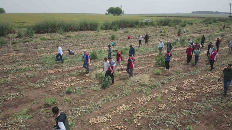 20240504aw196598 0 scaled