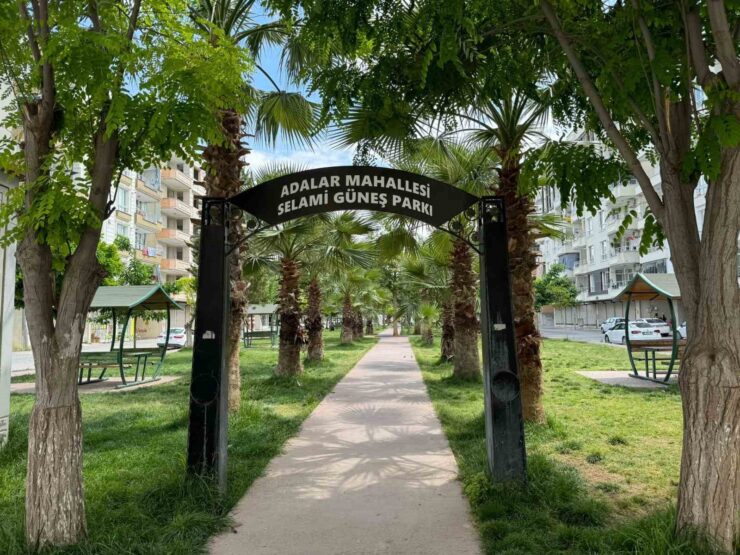 20240506aw197844 0 scaled