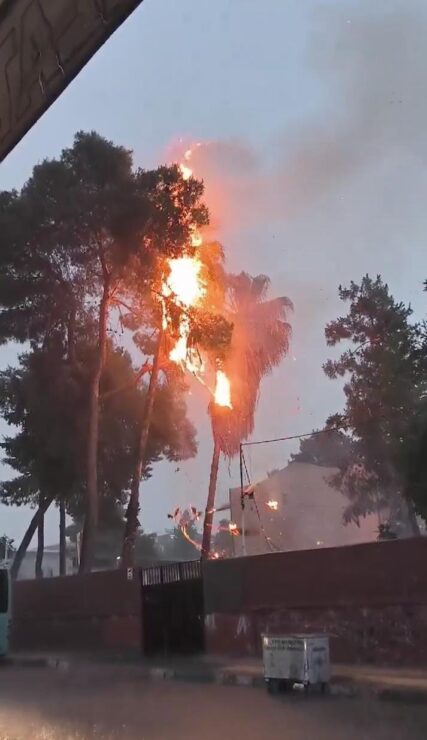 20240525aw212771 0 scaled