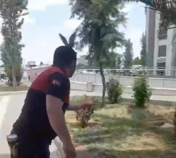 20240527aw213991 0 scaled