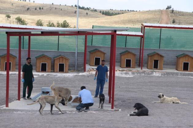 562083a0 94c5 45af a668 89ef83f18c0c