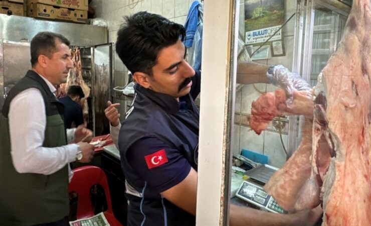 6645e3190d3b0 scaled