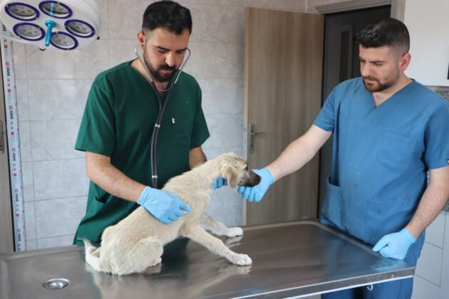 bcb9d41c f4dc 4563 a9b1 963b9c78882d