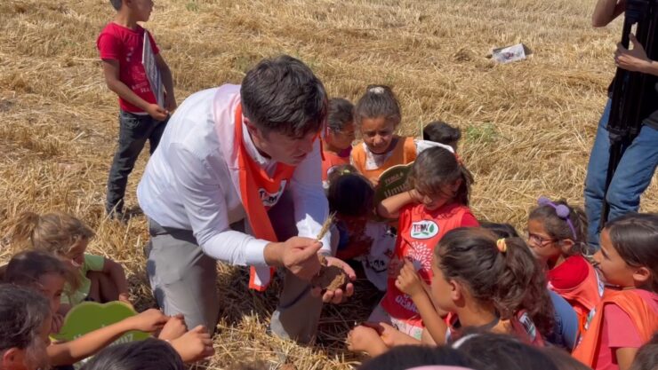 20240613aw227068 0 scaled