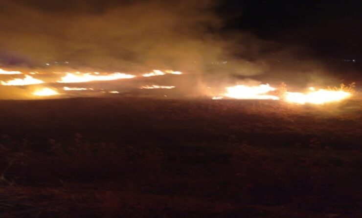 20240620130406 36208 91237 scaled