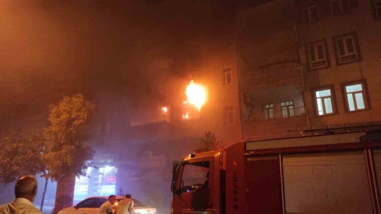 20240623aw232179 0 scaled