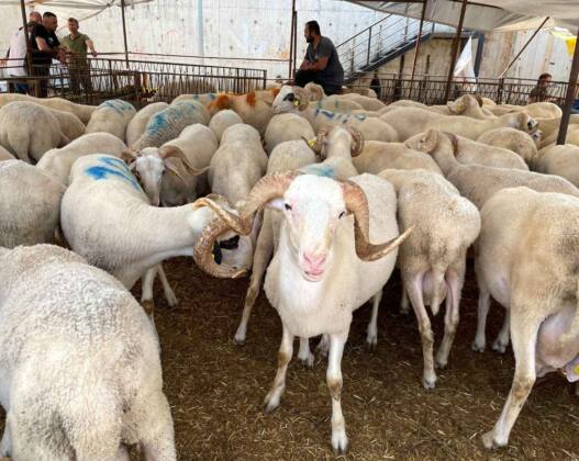 6704b6bb 679f 479e b13c da9775e6f6cc