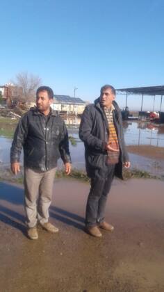 Suruç'ta taban suyu yükseldi! Verimli topraklar çoraklaşıyor 24 IMG 20240624 WA0009