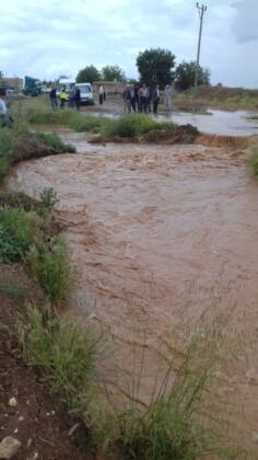 Suruç'ta taban suyu yükseldi! Verimli topraklar çoraklaşıyor 25 IMG 20240624 WA0010