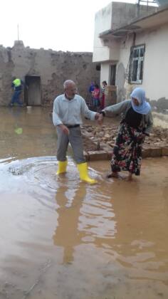 Suruç'ta taban suyu yükseldi! Verimli topraklar çoraklaşıyor 22 IMG 20240624 WA0011
