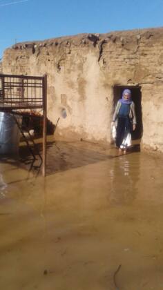 Suruç'ta taban suyu yükseldi! Verimli topraklar çoraklaşıyor 23 IMG 20240624 WA0012