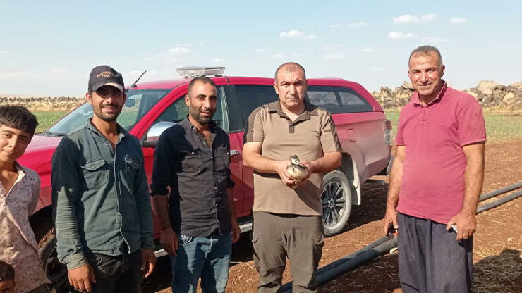 2024 07 sanliurfada bahri kusu tedavi sonrasi dogaya salindi scaled